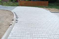 PHOTO-2026-02-24-09-50-31-3