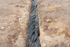 PHOTO-2026-02-24-09-59-22