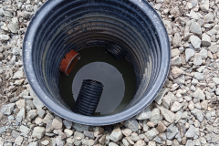 PHOTO-2026-02-24-10-00-01-10